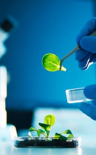 Project management in biotech and life sciences