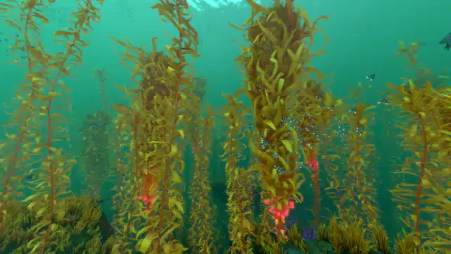 Sustainable Project Management