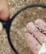 Microplastiques : Vous En Avalez Chaque Jour Sans Le Savoir (Et Voici Comment Les Détecter)