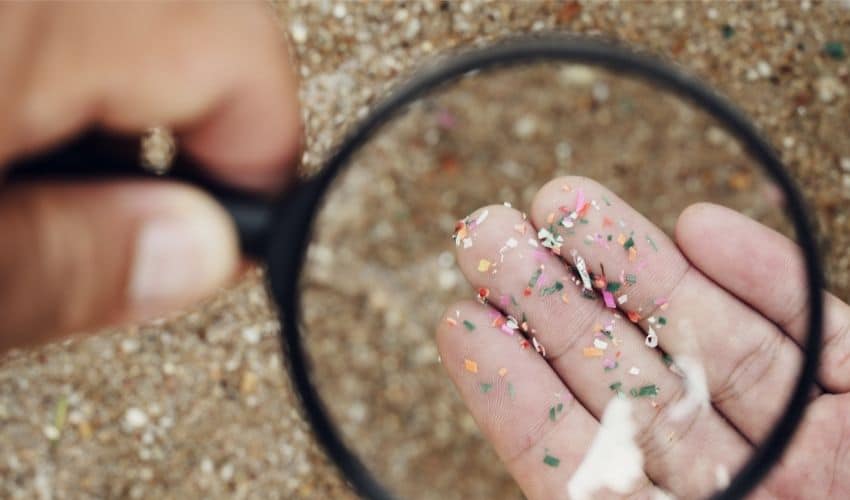 L'ingestion de microplastiques expliquée et contrecarrée