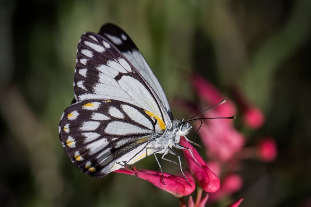 sustainable services from The house of P. Act and rise your company